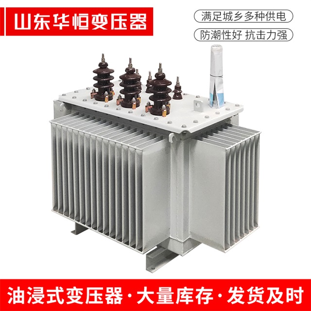 S13-10000/35全南全南全南油浸式变压器厂家